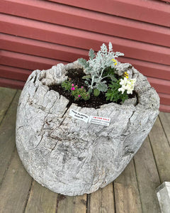 planter - teakwood log - XL