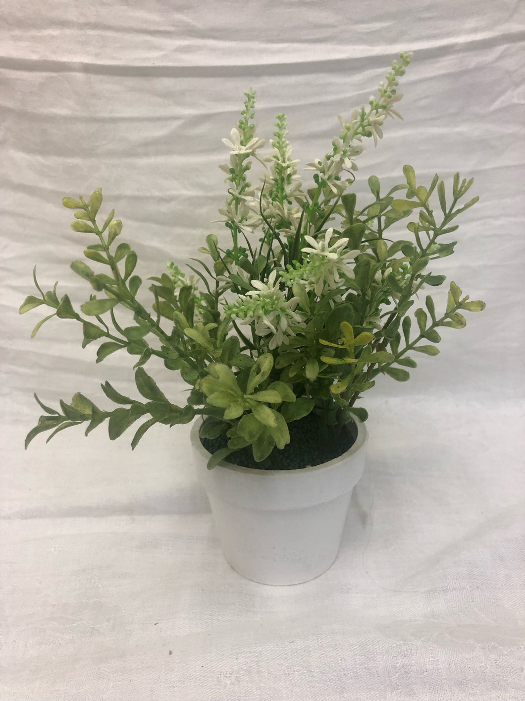 potted plant - white -  9