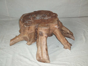 teak root side/coffee table - medium - abstract - anggi