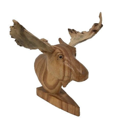 moose head - burlwood antlers - XS - 15cm - on plaque