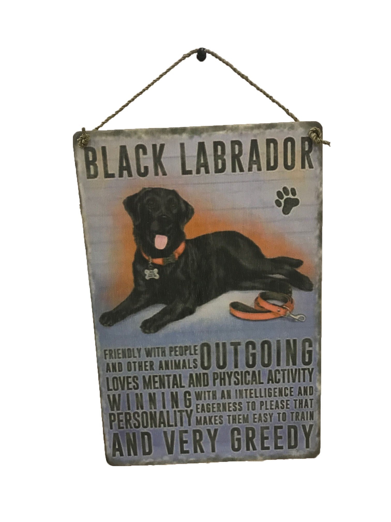 Labrador dog clearance shopping