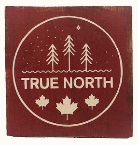 sign - true north  - red - 20x20cm