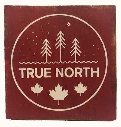 sign - true north  - red - 20x20cm
