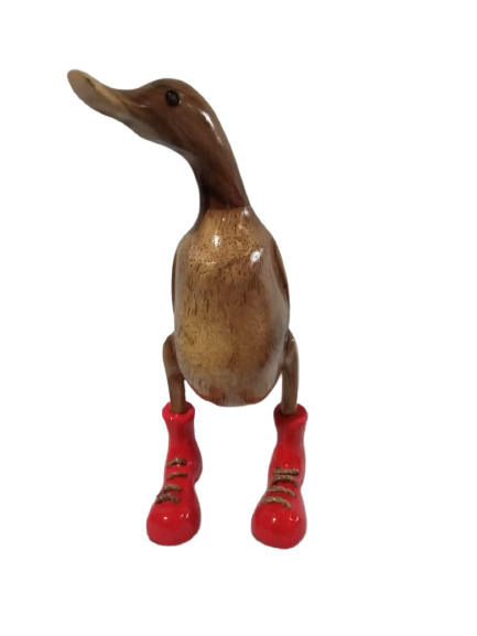 Duck wearing clearance boots