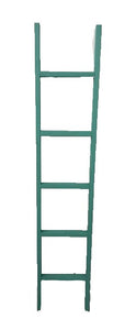 t&p -  timber - 6' ladder  w/5 rungs - TURQ  - 6ft x 14”