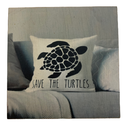 coaster - save the turtles