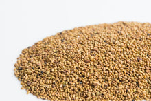 Load image into Gallery viewer, mumm&#39;s - alfalfa 125g- sprouting seeds
