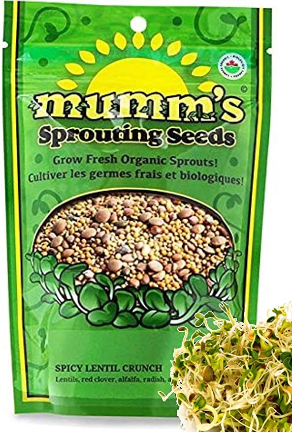 mumm's - spicy lentil crunch 125g- sprouting seeds