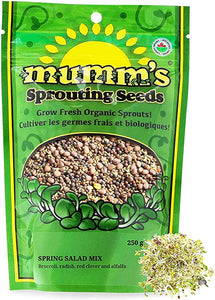 mumm's - spring salad mix 125g - sprouting seeds