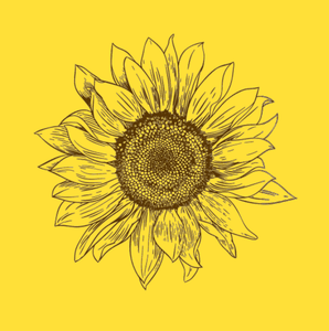 euroscrubby dishcloth - sunflower